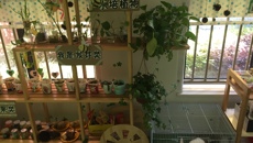 学前1系14级《学前儿童科学教育》幼儿园分散半日见习活动