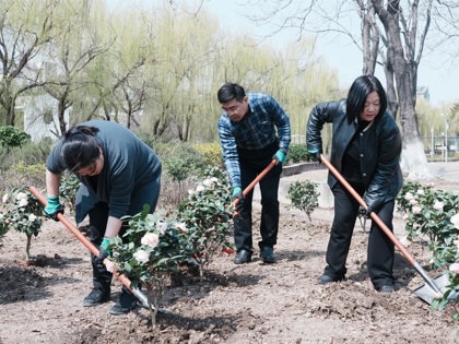春意盎然添新绿 师生携手育希望——买球赛的app官网开展植树节主题劳动教育实践活动