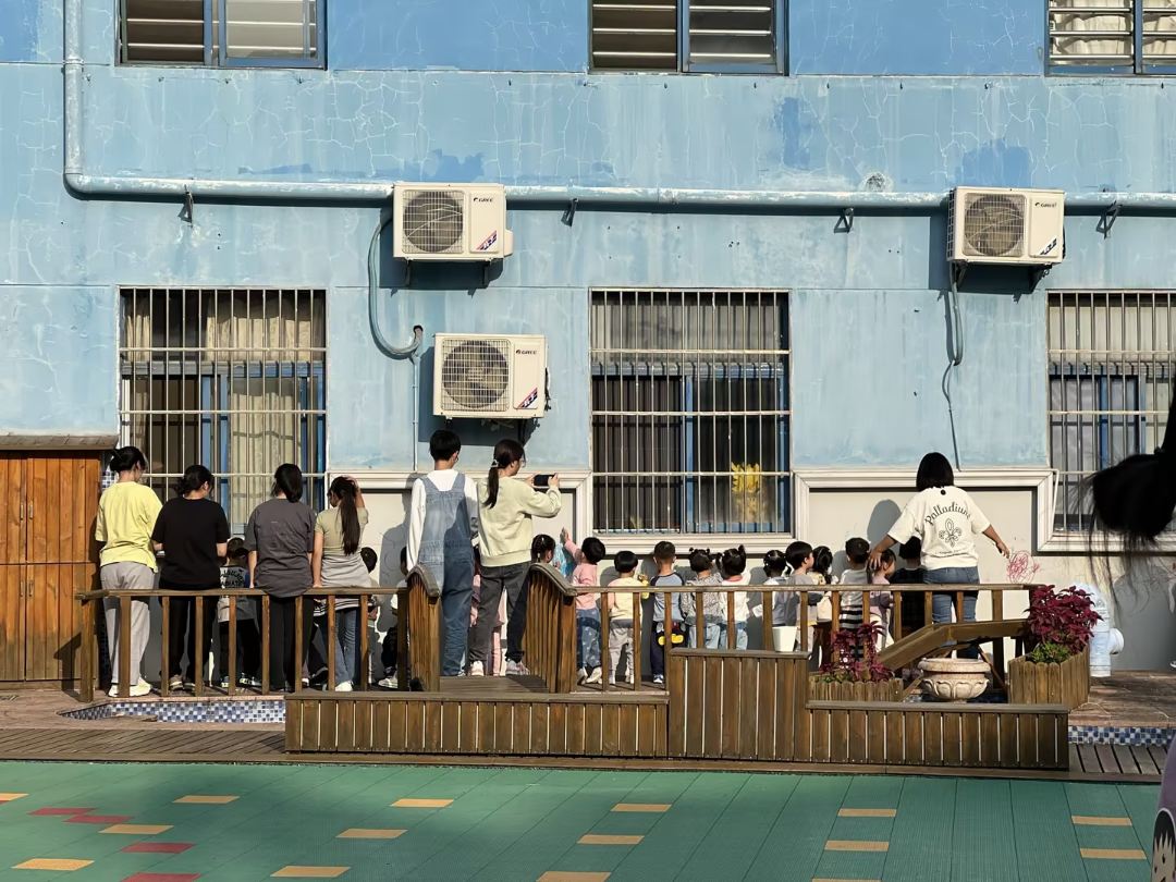 202311151601093545.png 202311151601093545.png