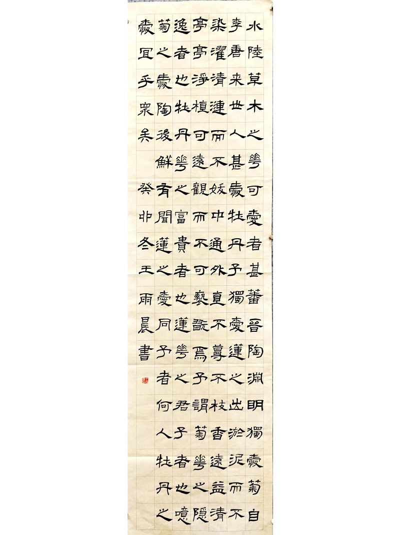 学前一系2201王雨晨